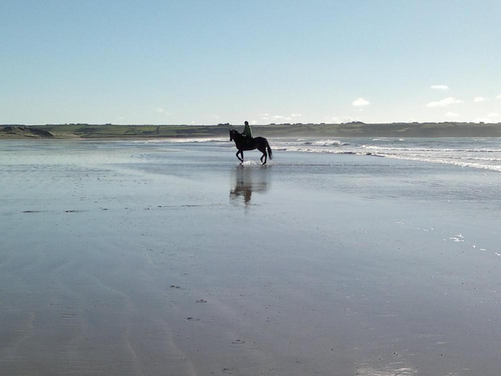 Glenart House Bed and Breakfast Tramore Εξωτερικό φωτογραφία